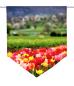 Preview: Tulpenfluss, Scheibenhänger spitz
